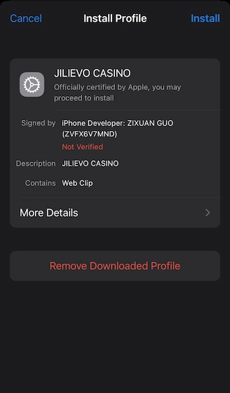 Step 5: Go to settings and select device management and VPN. Then select the JILIEVO APK profile and tap “Install”.