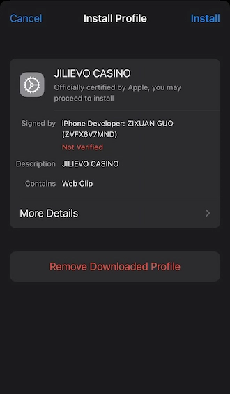 Step 5: Go to settings and select device management and VPN. Then select the JILIEVO APK profile and tap "Install".