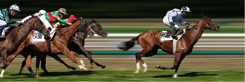 How to Participate in Horse Racing Betting