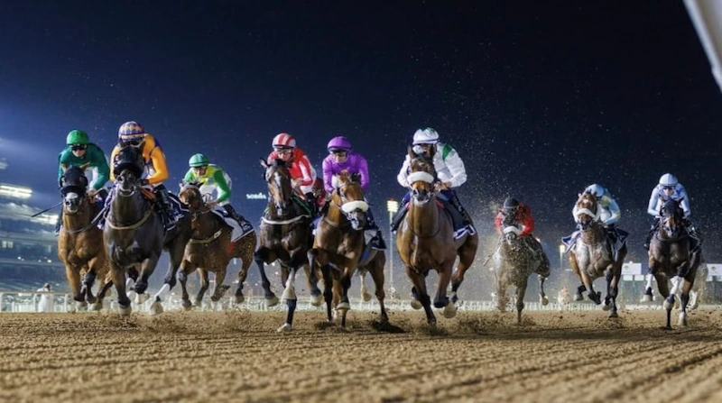 Horse Racing Betting Tips